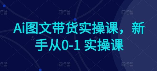 Ai图文带货实操课，新手从0-1 实操课-985网创