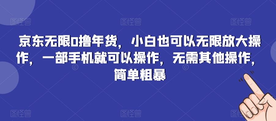 京东无限0撸年货，小白也可以无限放大操作，一部手机就可以操作，无需其他操作，简单粗暴-985网创