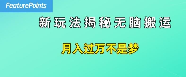 简单操作，每天50美元收入，搬运就是赚钱的秘诀【揭秘】-985网创