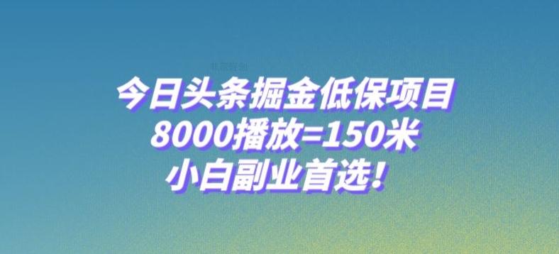 今日头条掘金低保项目，8000播放=150米，小白副业首选【揭秘】-985网创