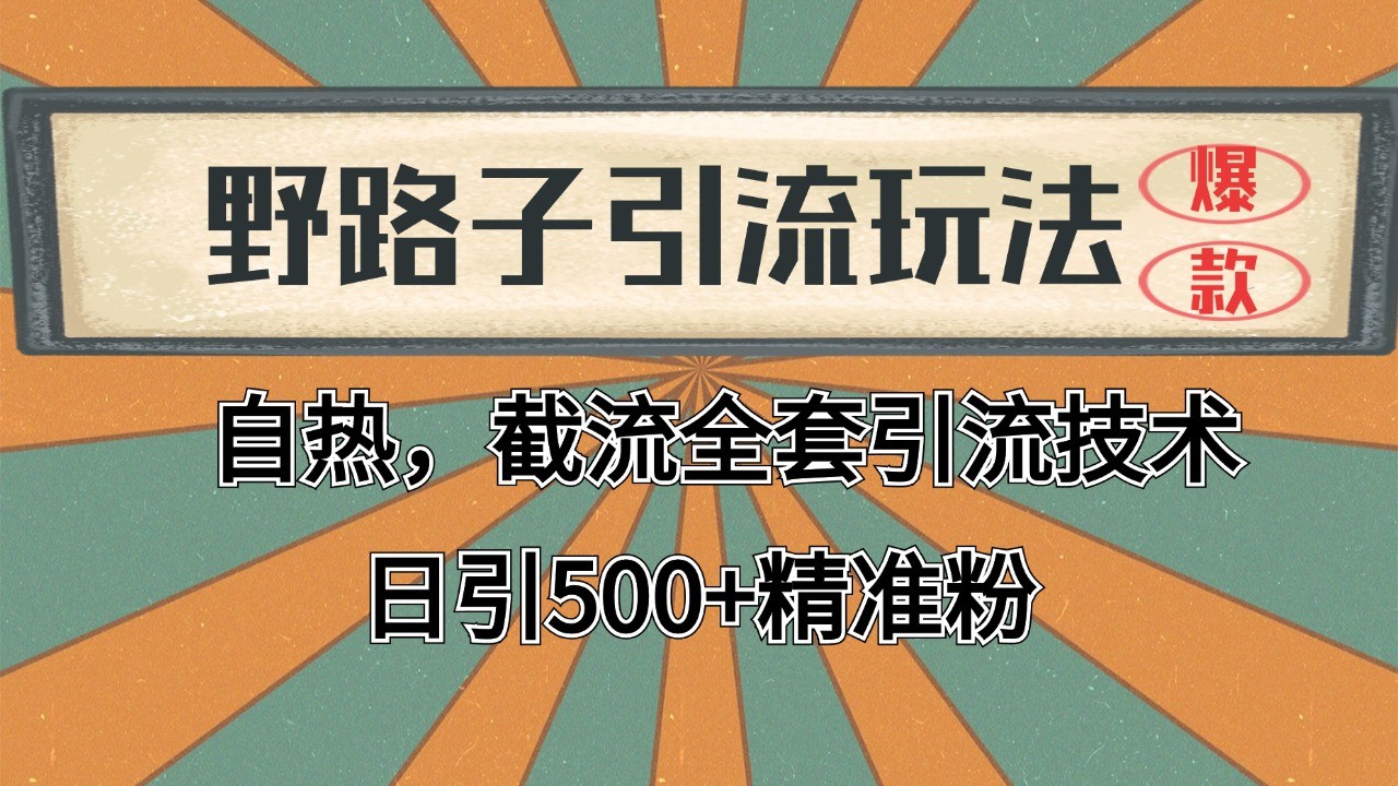 抖音小红书视频号全平台引流打法，全自动引流日引2000+精准客户-985网创