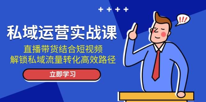 私域运营实战课：直播带货结合短视频，解锁私域流量转化高效路径-985网创
