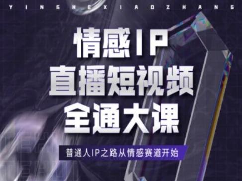 情感IP直播短视频全通大课，普通人IP之路从情感赛道开始-985网创