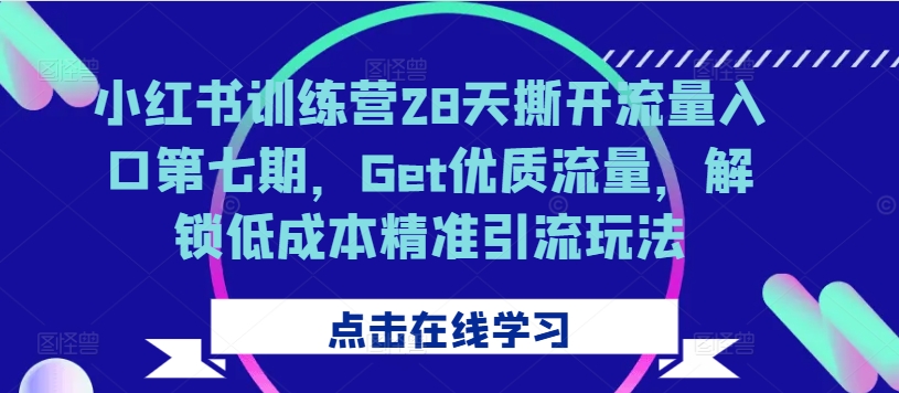 小红书训练营28天撕开流量入口第七期，Get优质流量，解锁低成本精准引流玩法-985网创