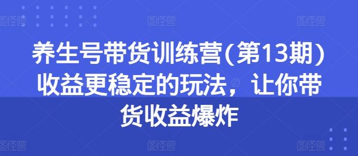 养生号带货训练营(第13期)收益更稳定的玩法，让你带货收益爆炸-985网创
