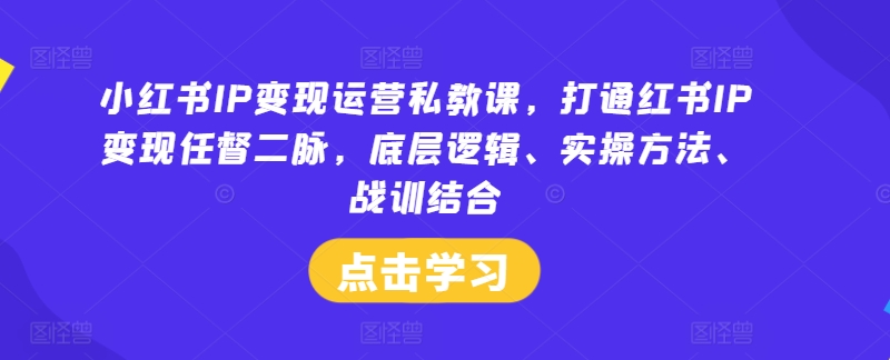 小红书IP变现运营私教课，打通红书IP变现任督二脉，底层逻辑、实操方法、战训结合-985网创