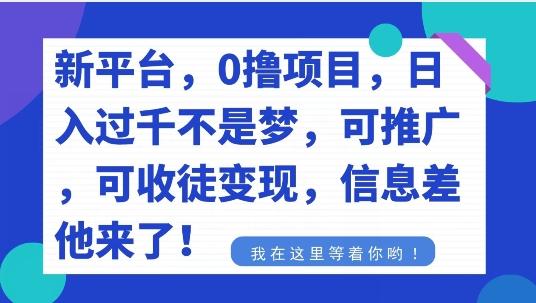 不要再花冤枉钱了，0撸项目，每天坚持，稳定1000+-985网创