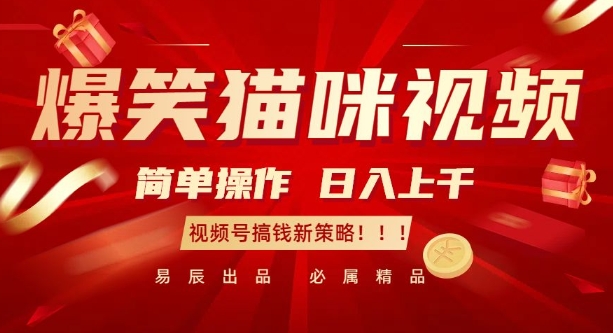 爆笑猫咪视频：简单操作，日入过K，视频号搞钱新策略【揭秘】-985网创