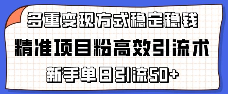 精准项目粉高效引流术，新手单日引流50+，多重变现方式稳定赚钱【揭秘】-985网创