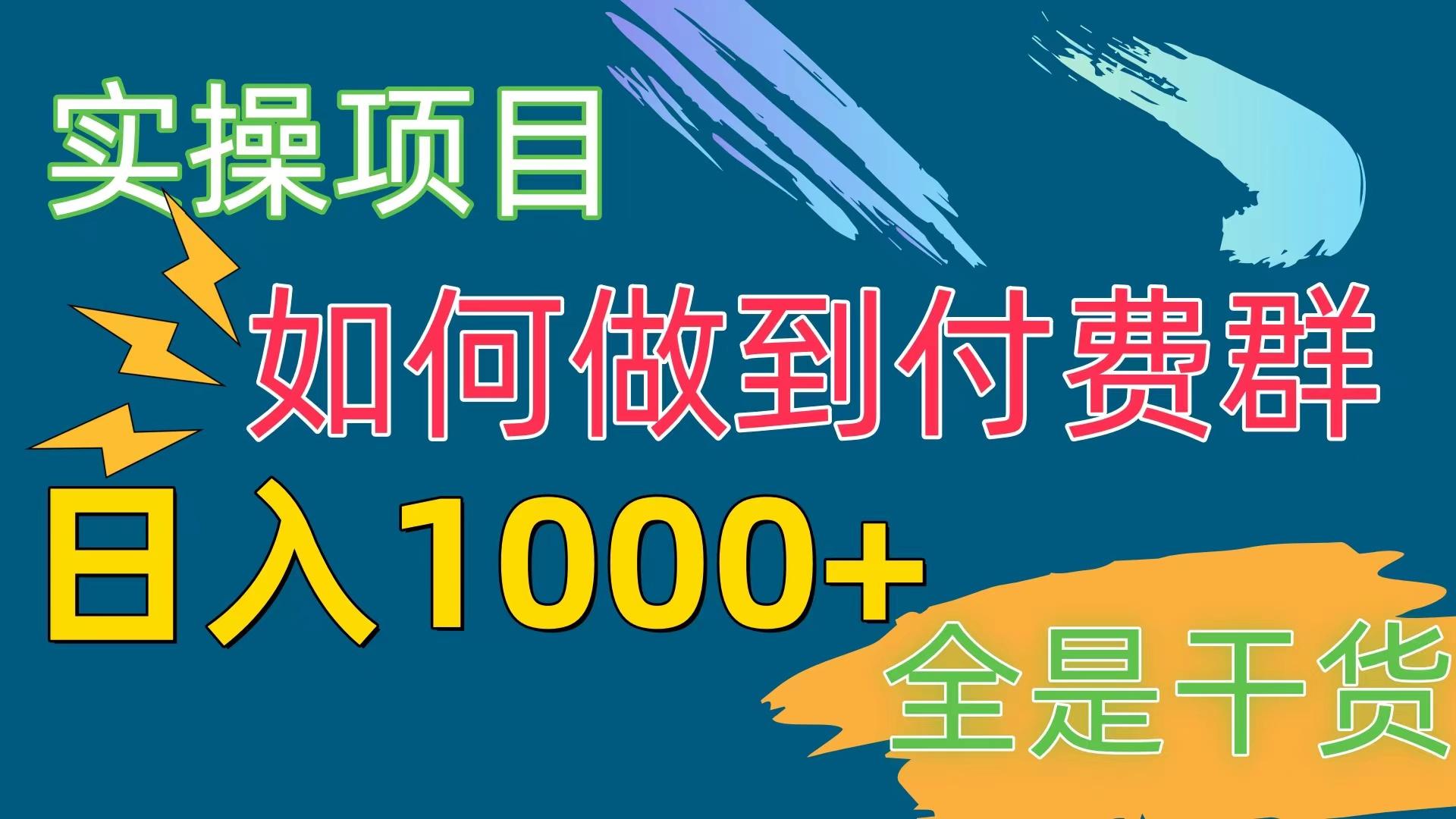 [实操项目]付费群赛道，日入1000+-985网创