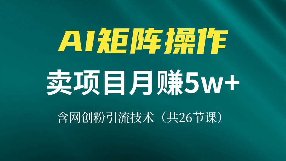 网创IP打造课，借助AI卖项目月赚5万+，含引流技术(共26节课-985网创