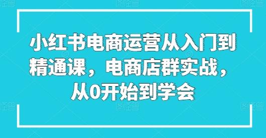 小红书电商运营从入门到精通课，电商店群实战，从0开始到学会-985网创