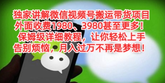 独家讲解微信视频号搬运带货项目，保姆级详细教程-985网创