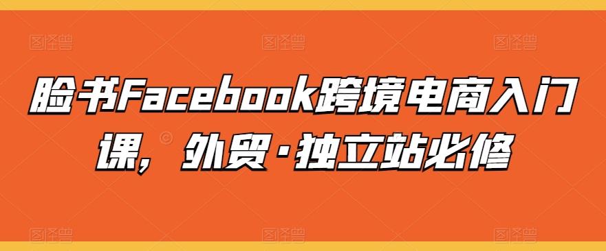 脸书Facebook跨境电商入门课，外贸·独立站必修-985网创