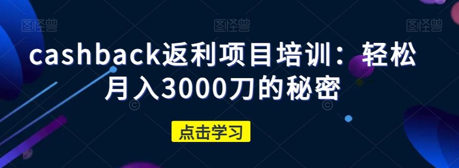 cashback返利项目培训：轻松月入3000刀的秘密-985网创