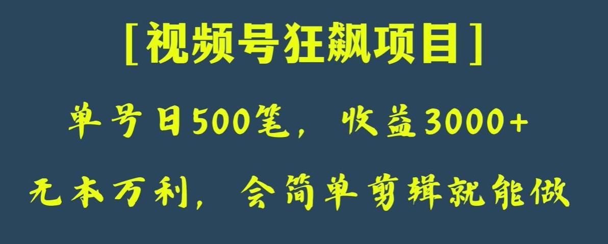 日收款500笔，纯利润3000+，视频号狂飙项目，会简单剪辑就能做【揭秘】-985网创