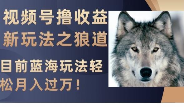 视频号撸收益新玩法之狼道，目前蓝海玩法，轻松月入过万【揭秘】-985网创