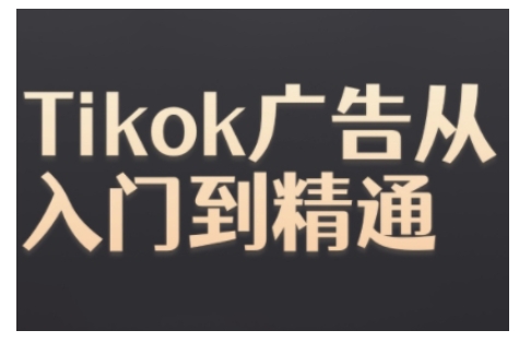Tiktok Ads实操教程，Tiktok广告从入门到精通-985网创