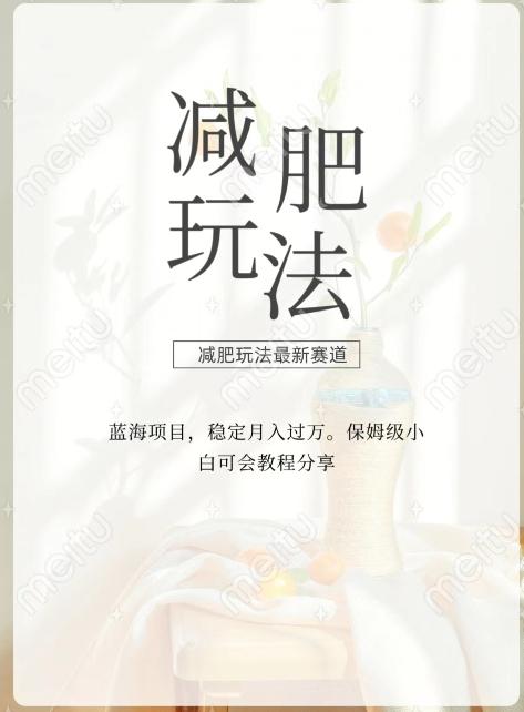 减肥流量主新玩法，轻松月入1W，可矩阵操作收入翻倍-985网创