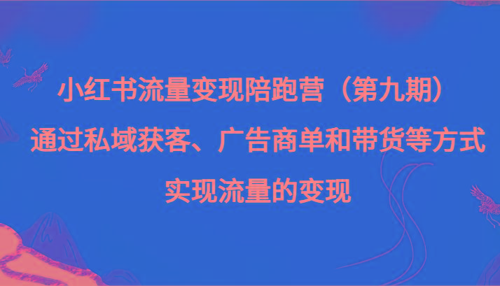 小红书流量变现陪跑营（第九期）通过私域获客、广告商单和带货等方式实现流量变现-985网创
