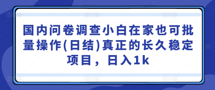 国内问卷调查小白在家也可批量操作(日结)真正的长久稳定项目，日入1k【揭秘】-985网创