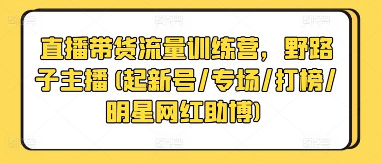 直播带货流量训练营，野路子主播(起新号/专场/打榜/明星网红助博)-985网创
