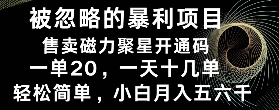 被忽略的暴利项目！售卖磁力聚星开通码，一单20，一天十几单，轻松月入五六千-985网创