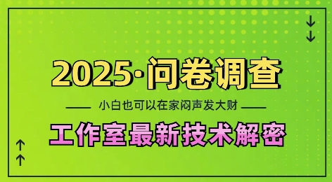 2025问卷调查最新工作室技术解密：一个人在家也可以闷声发大财，小白一天2张，可矩阵放大【揭秘】-985网创