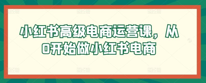 小红书高级电商运营课，从0开始做小红书电商-985网创
