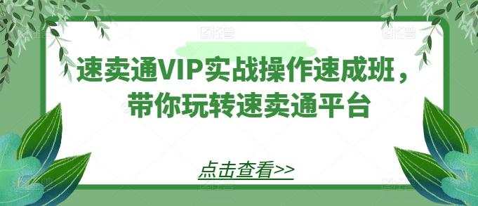 速卖通VIP实战操作速成班，带你玩转速卖通平台-985网创