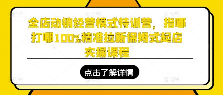全店动销经营模式特训营，指哪打哪100%精准拉新保姆式起店实操课程-985网创