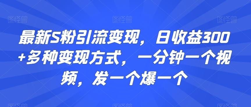 最新S粉引流变现，日收益300+多种变现方式，一分钟一个视频，发一个爆一个【揭秘】-985网创