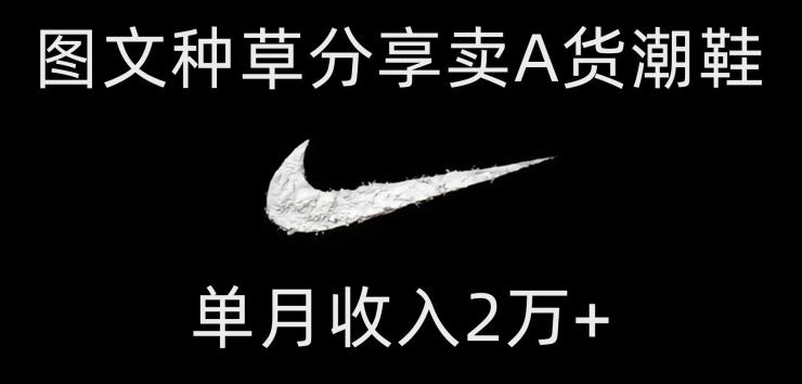 靠图文种草分享卖A货潮鞋，每天一小时，单月收入2万+【揭秘】-985网创