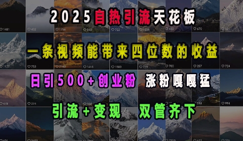 2025自热引流天花板，一条视频能带来四位数的收益，引流+变现双管齐下，日引500+创业粉，涨粉嘎嘎猛-985网创