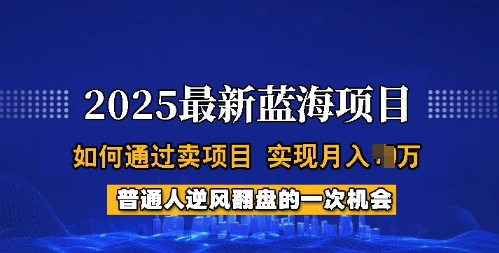 2025蓝海项目，普通人如何通过卖项目，实现月入过W，全过程【揭秘】-985网创