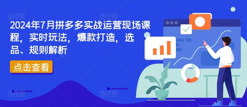 2024年7月拼多多实战运营现场课程，实时玩法，爆款打造，选品、规则解析-985网创
