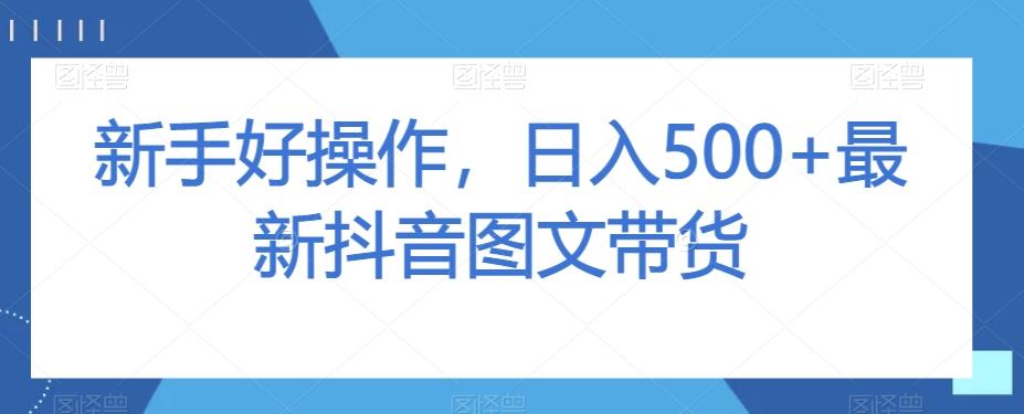 新手好操作，日入500+最新抖音图文带货【揭秘】-985网创