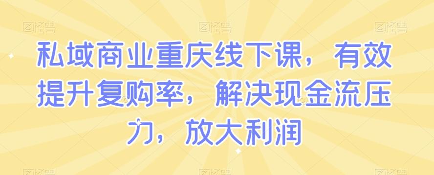 私域商业重庆线下课，有效提升复购率，解决现金流压力，放大利润-985网创