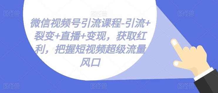 微信视频号引流课程-引流+裂变+直播+变现，获取红利，把握短视频超级流量风口-985网创