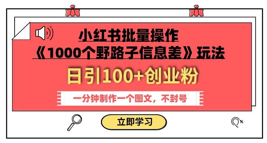 小红书批量操作《1000个野路子信息差》玩法，一分钟制作一个图文，不封号，日引100+创业粉-985网创