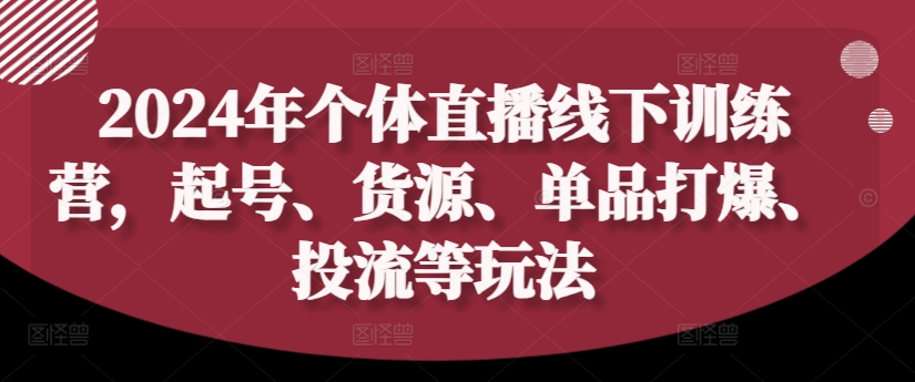 2024年个体直播训练营，起号、货源、单品打爆、投流等玩法-985网创
