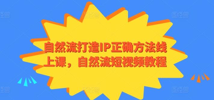 自然流打造IP正确方法线上课，自然流短视频教程-985网创