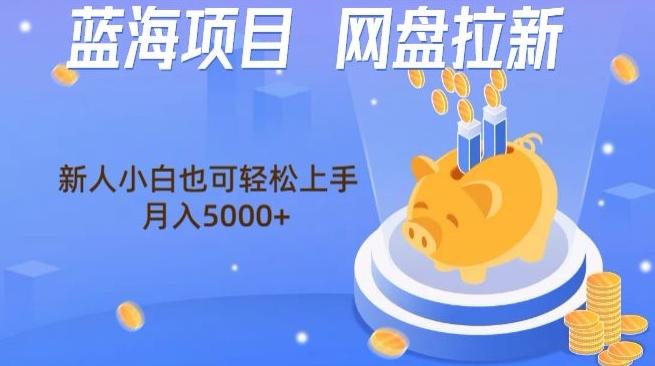 蓝海项目网盘拉新，新人小白也可操作，每月收入5000+-985网创