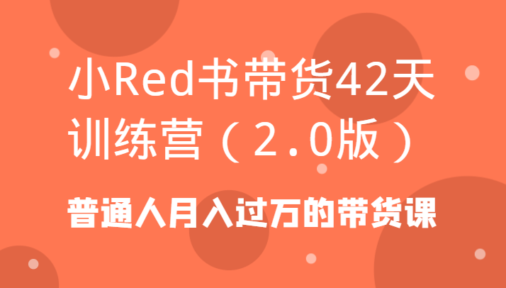 小Red书带货42天训练营(2.0版)普通人月入过万的带货课-985网创