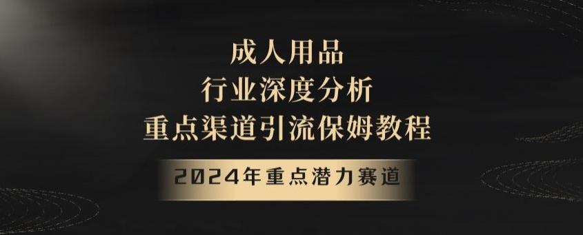 2024年重点潜力赛道，成人用品行业深度分析，重点渠道引流保姆教程【揭秘】-985网创