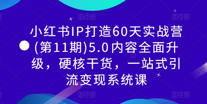 小红书IP打造60天实战营(第11期)5.0​内容全面升级，硬核干货，一站式引流变现系统课-985网创