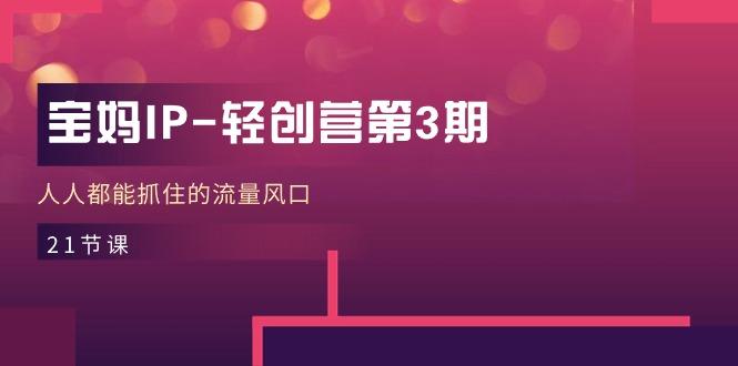 宝妈IP-轻创营第3期，人人都能抓住的流量风口(21节课-985网创