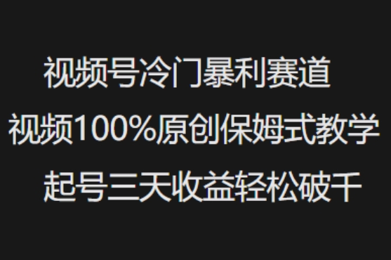 视频号冷门暴利赛道视频100%原创保姆式教学起号三天收益轻松破千-985网创