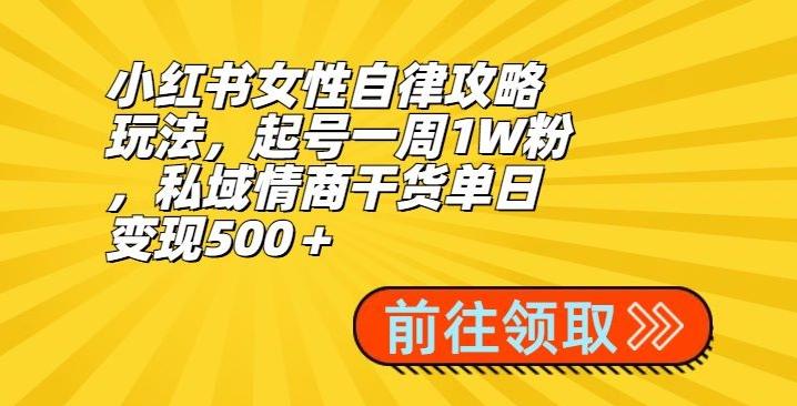 小红书女性自律攻略玩法，起号一周1W粉，私域情商干货单日变现500＋-985网创