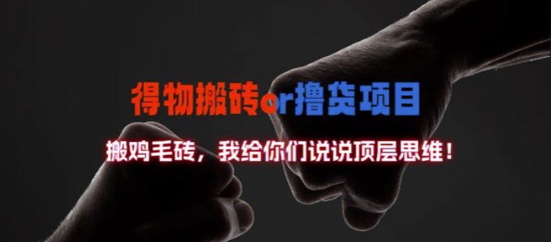 得物搬砖撸货项目?掰下数据，我给你们说说顶层思维【揭秘】-985网创